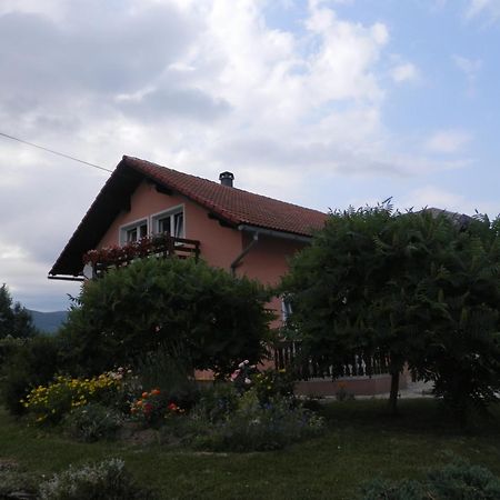 Guesthouse Blazenka Hodak Selište Drežničko Exterior foto