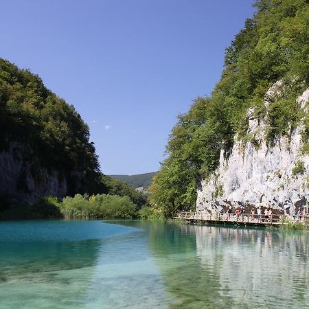 Guesthouse Blazenka Hodak Selište Drežničko Exterior foto