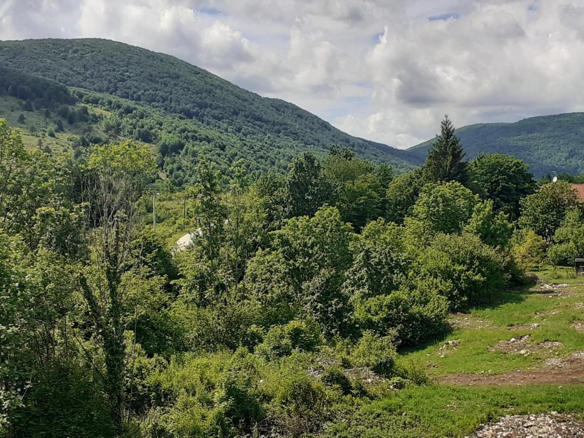 Guesthouse Blazenka Hodak Selište Drežničko Exterior foto