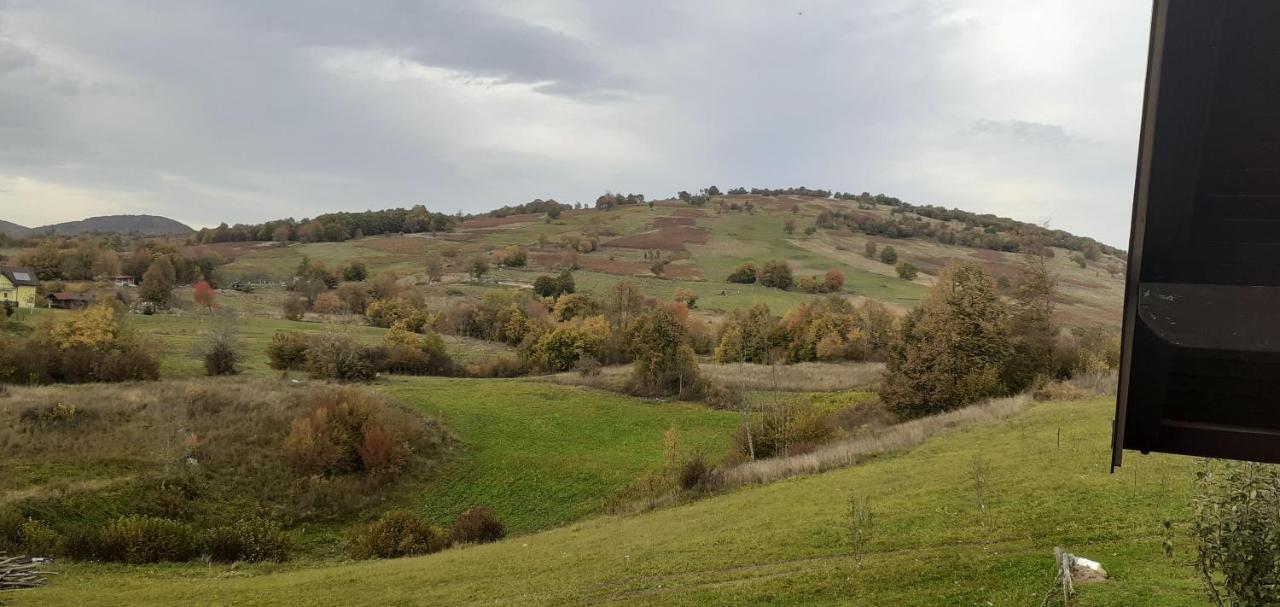 Guesthouse Blazenka Hodak Selište Drežničko Exterior foto