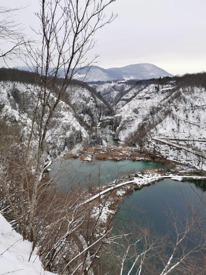 Guesthouse Blazenka Hodak Selište Drežničko Exterior foto