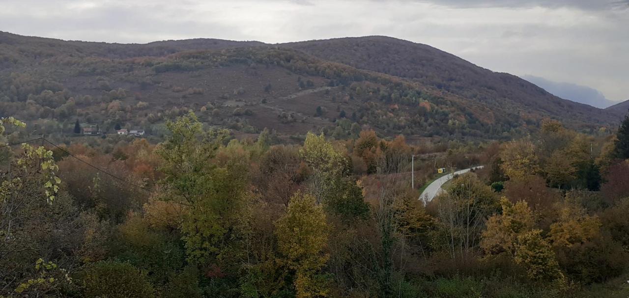 Guesthouse Blazenka Hodak Selište Drežničko Exterior foto