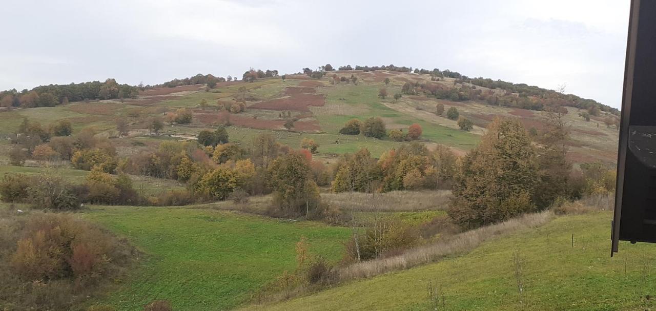 Guesthouse Blazenka Hodak Selište Drežničko Exterior foto