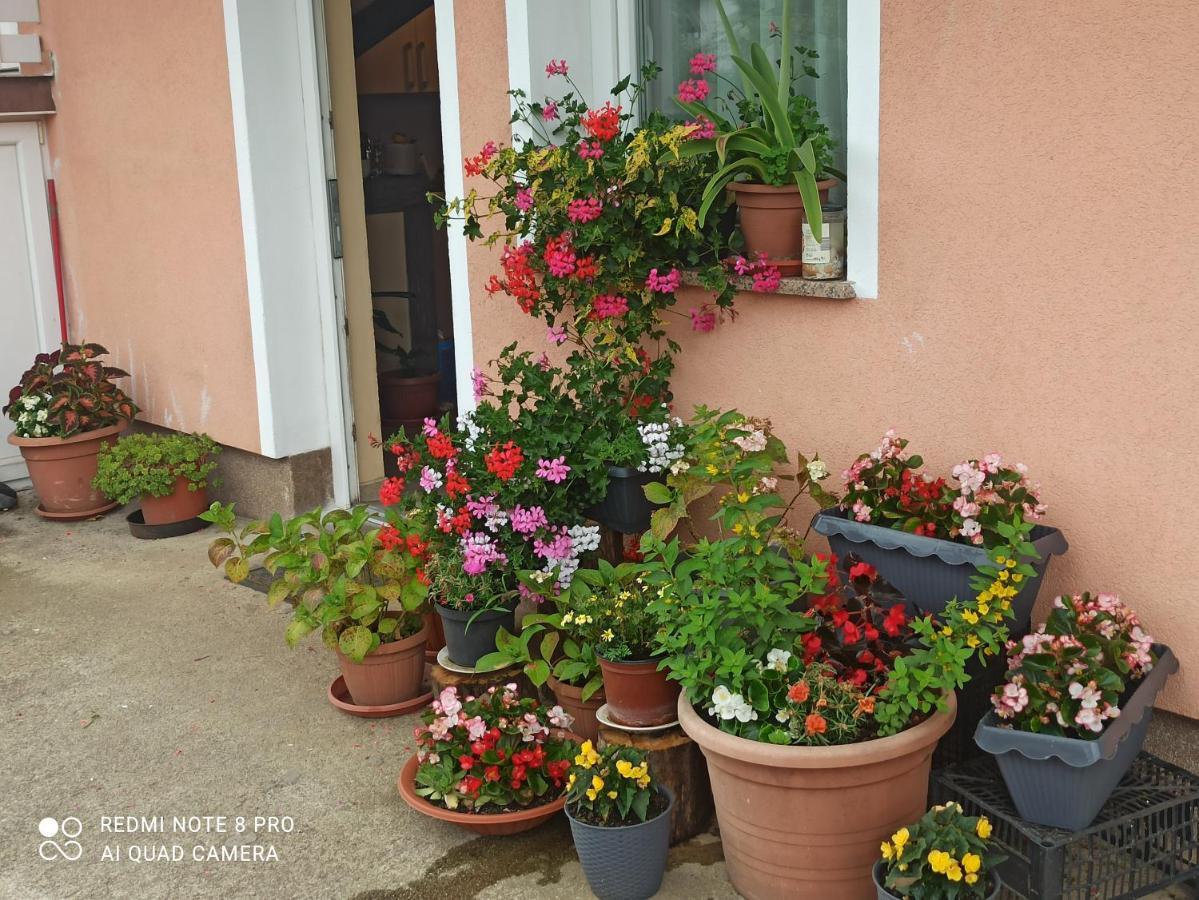 Guesthouse Blazenka Hodak Selište Drežničko Exterior foto