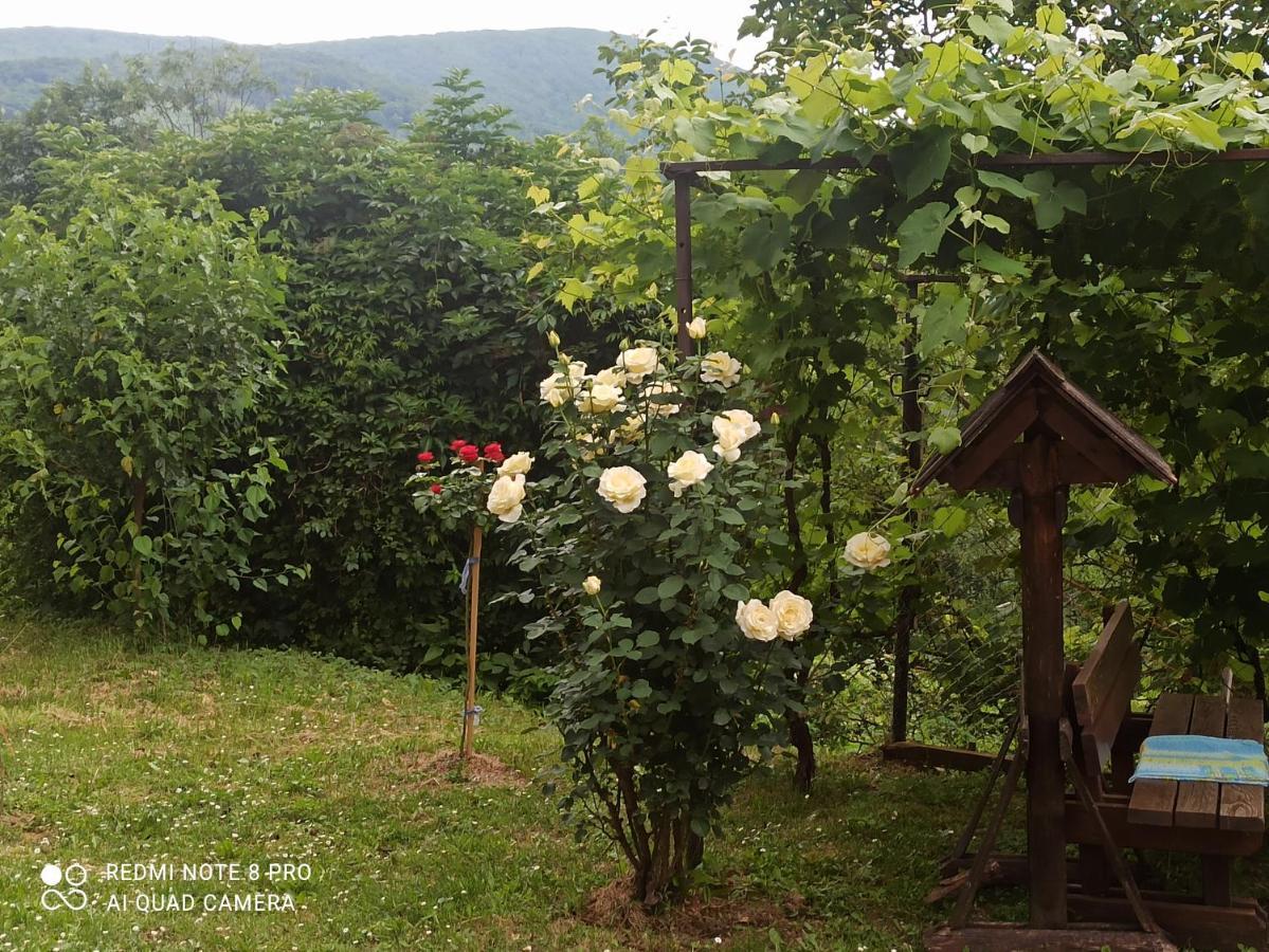 Guesthouse Blazenka Hodak Selište Drežničko Exterior foto