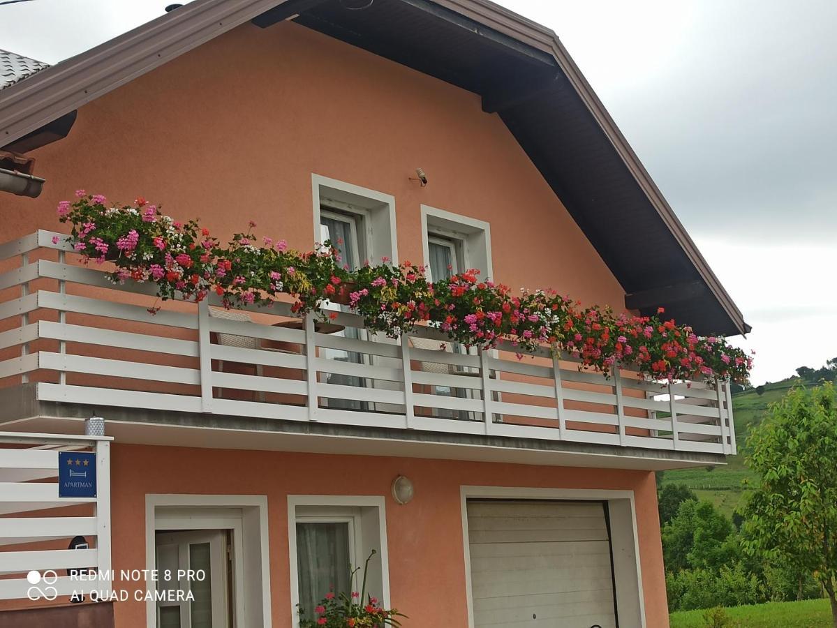 Guesthouse Blazenka Hodak Selište Drežničko Exterior foto