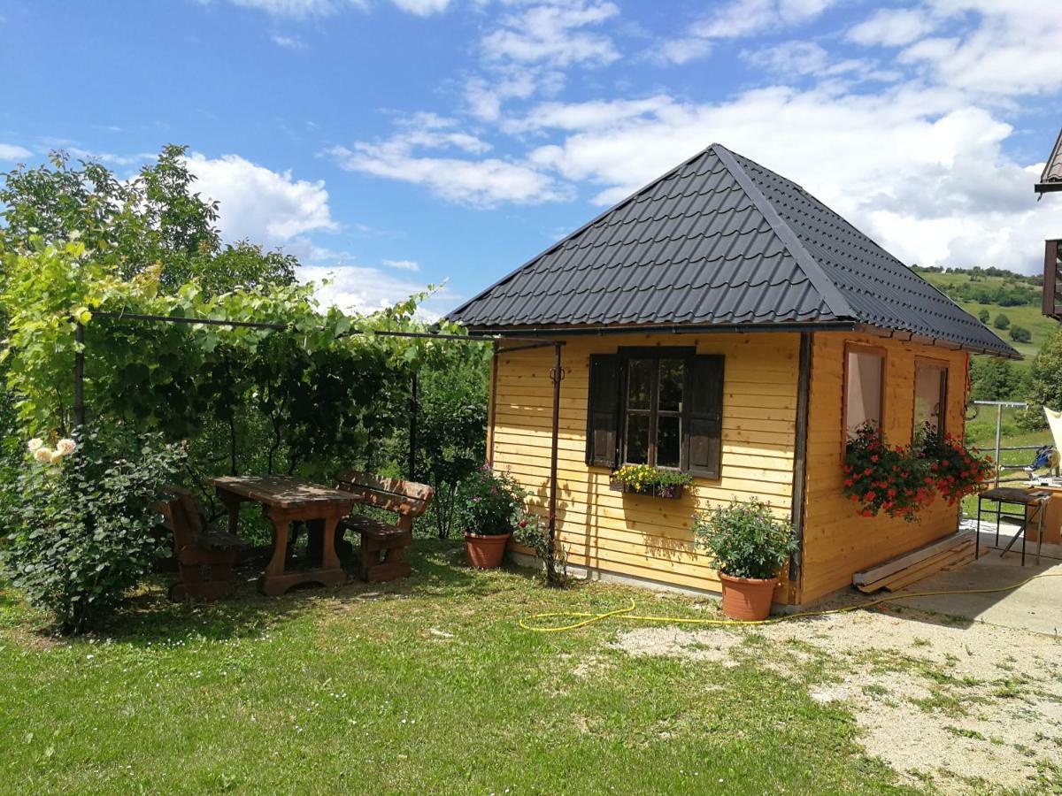 Guesthouse Blazenka Hodak Selište Drežničko Exterior foto