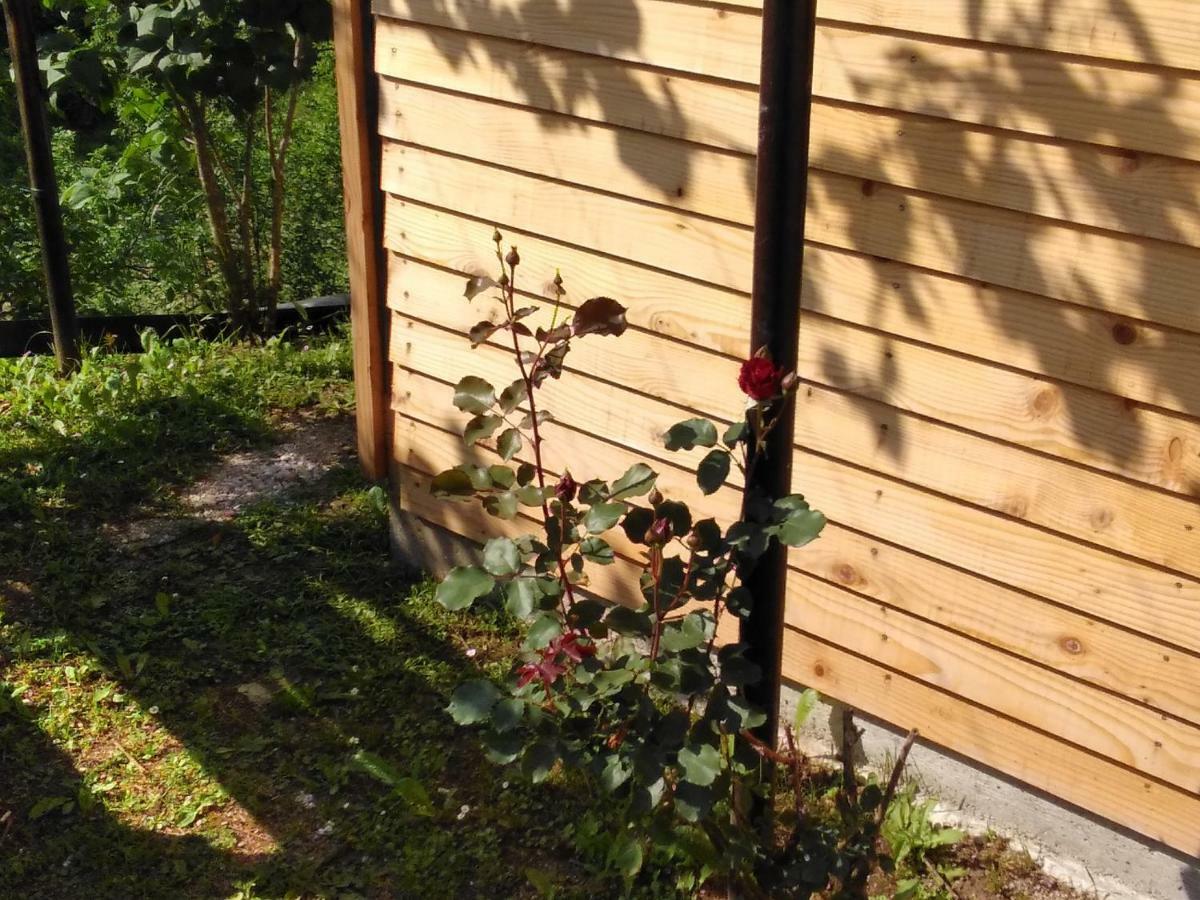 Guesthouse Blazenka Hodak Selište Drežničko Exterior foto