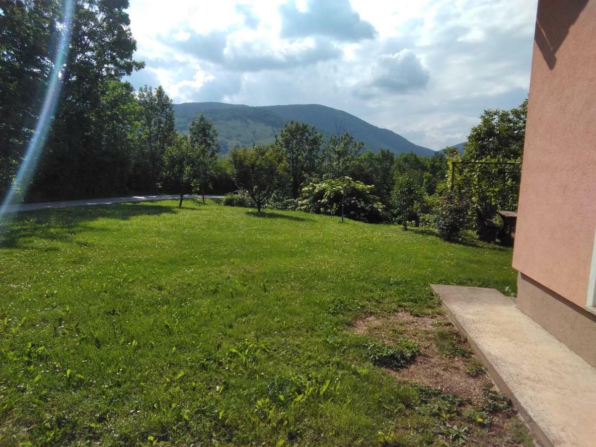 Guesthouse Blazenka Hodak Selište Drežničko Exterior foto