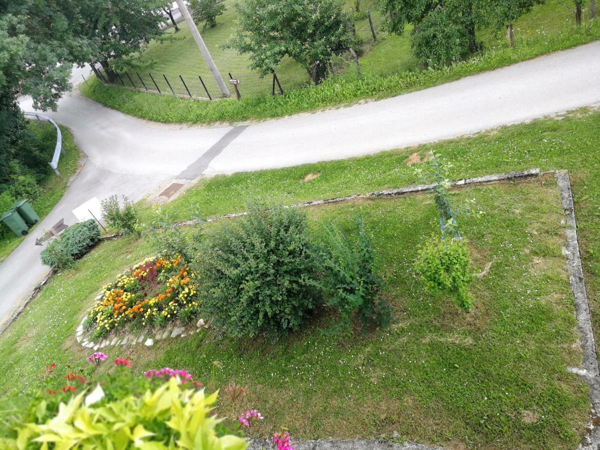 Guesthouse Blazenka Hodak Selište Drežničko Exterior foto