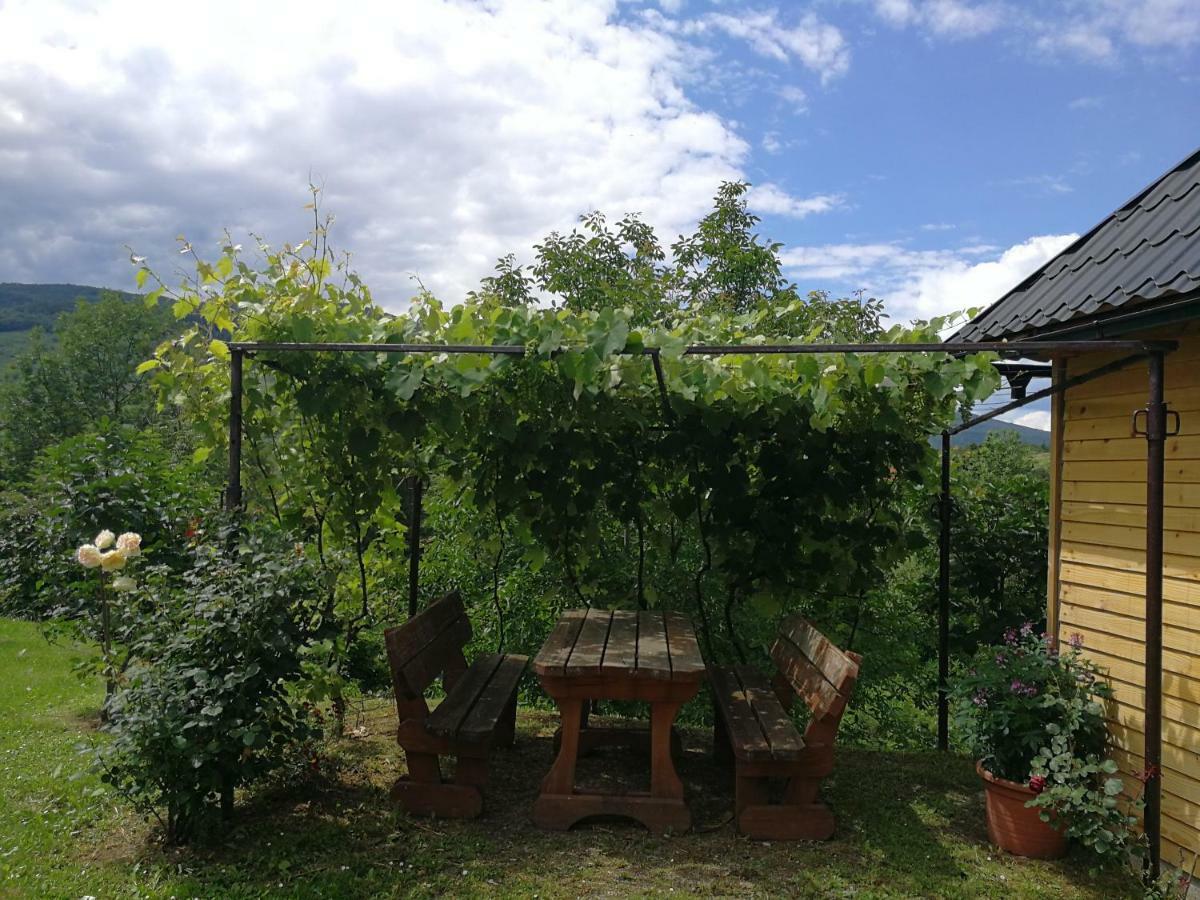Guesthouse Blazenka Hodak Selište Drežničko Exterior foto